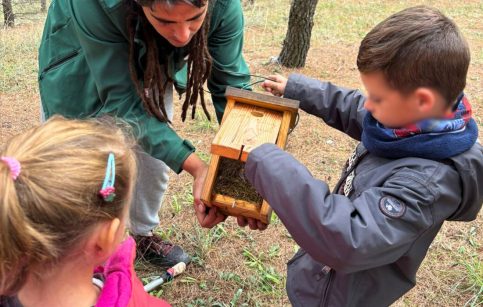 educación ambiental